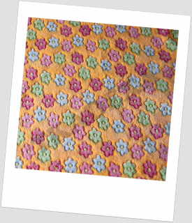 Coral fleece-KYTIČKY